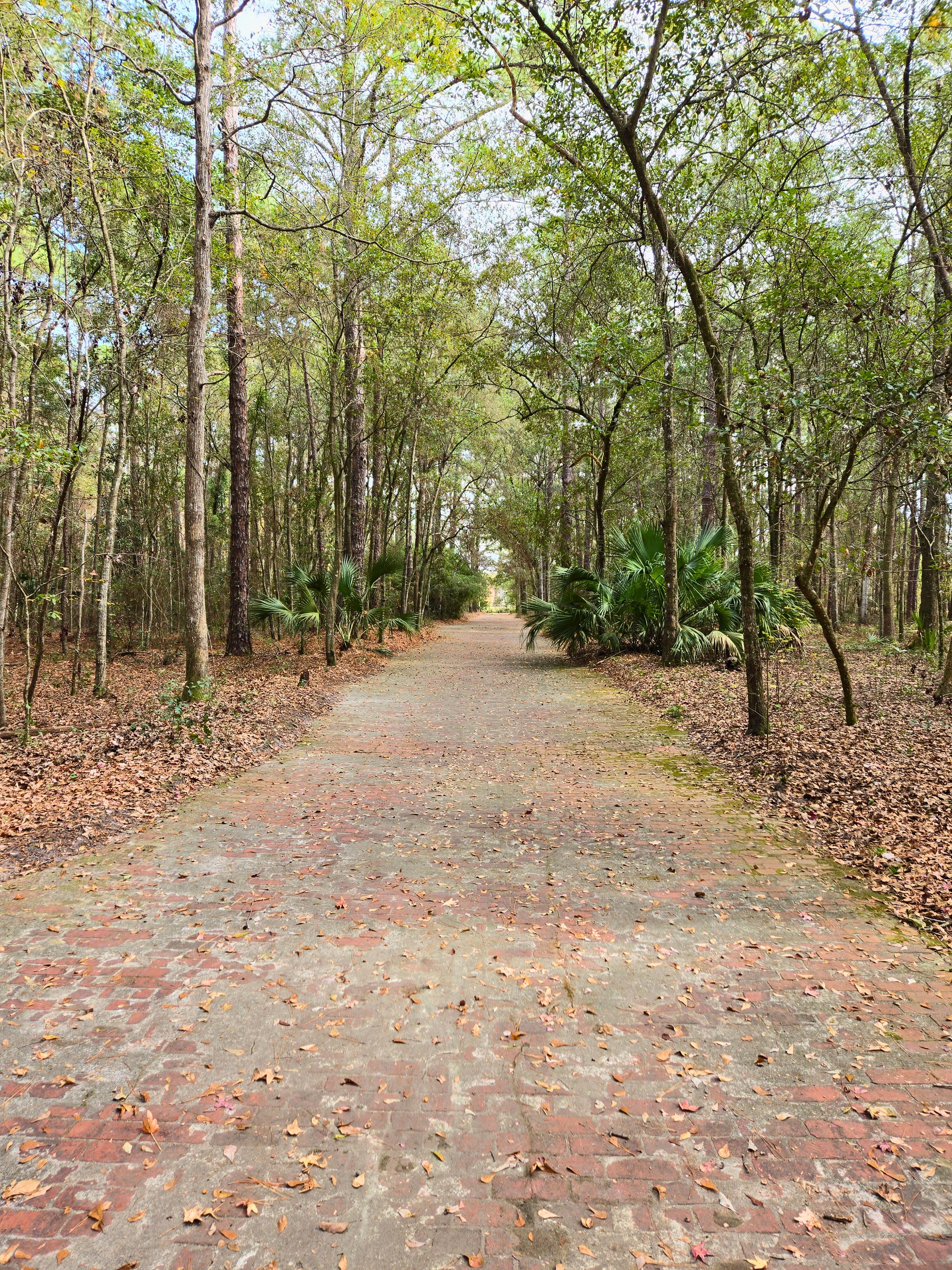 Tillie K. Fowler Regional Park trails and nature near NAS Jacksonville